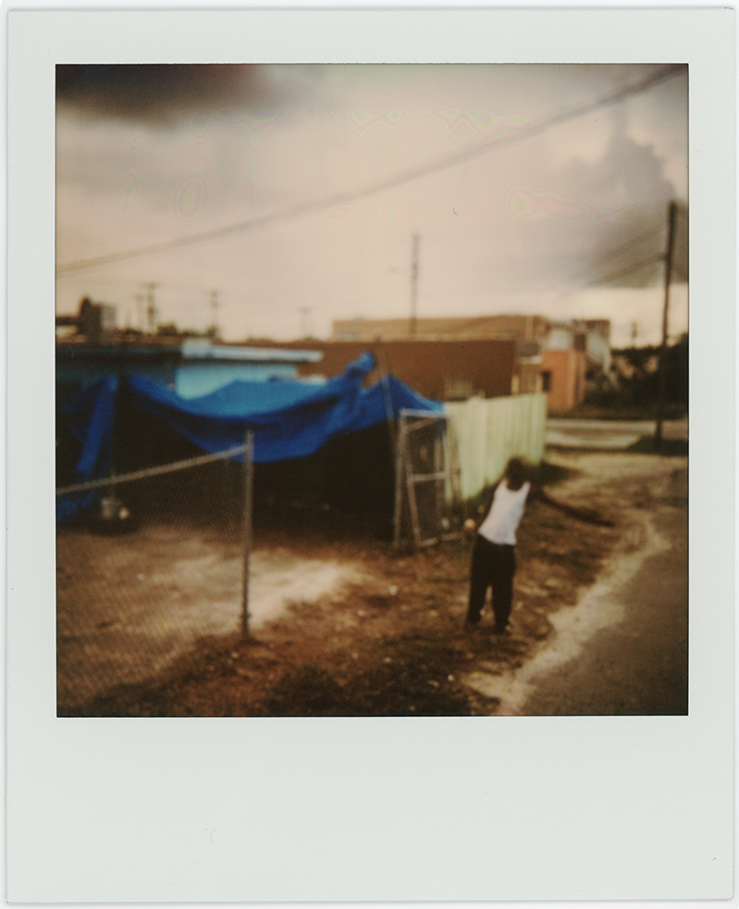 Polaroid 13